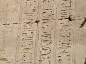 Photo »D05_3368« aus dem Edfu-Projekt.