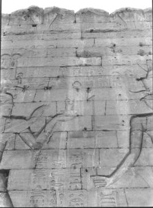 Photo »1036« aus dem Edfu-Projekt.