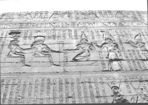 Photo »1479« aus dem Edfu-Projekt.