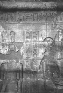 Photo »4242« aus dem Edfu-Projekt.