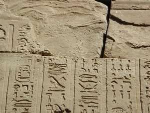 Photo »D03_0560« aus dem Edfu-Projekt.