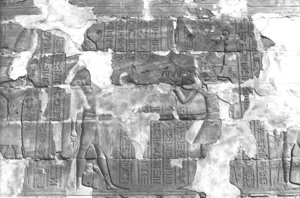 Photo »307« aus dem Edfu-Projekt.