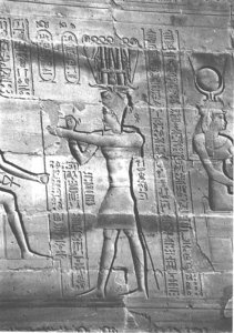 Photo »3978« aus dem Edfu-Projekt.