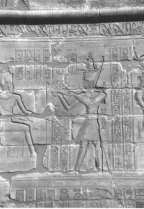 Photo »4312« aus dem Edfu-Projekt.