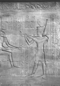Photo »4337« aus dem Edfu-Projekt.