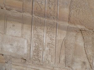 Photo »D05_6705« of the Edfu-Project.