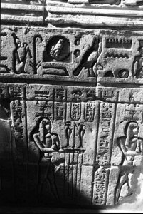 Photo »1171« aus dem Edfu-Projekt.