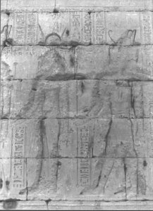 Photo »784« of the Edfu-Project.