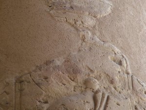 Photo »D05_7284« of the Edfu-Project.