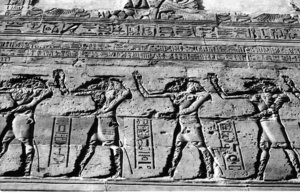 Photo »1192« aus dem Edfu-Projekt.