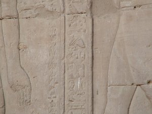 Photo »D05_5494« of the Edfu-Project.