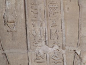 Photo »D05_6444« of the Edfu-Project.