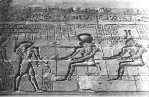 Photo »1126« aus dem Edfu-Projekt.
