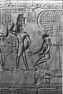 Photo »1362« aus dem Edfu-Projekt.