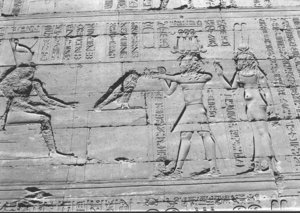 Photo »1463« aus dem Edfu-Projekt.