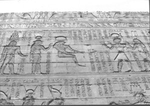 Photo »1478« aus dem Edfu-Projekt.