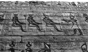 Photo »1518« aus dem Edfu-Projekt.