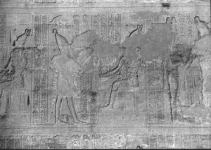 Photo »2043« of the Edfu-Project.