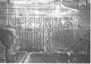 Photo »4045« aus dem Edfu-Projekt.