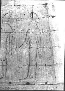 Photo »827« of the Edfu-Project.