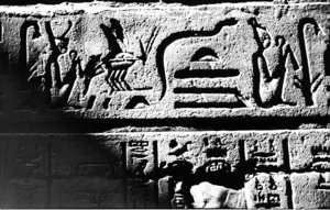 Photo »1173« aus dem Edfu-Projekt.