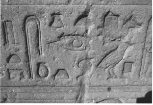 Photo »3780« aus dem Edfu-Projekt.