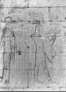 Photo »774« of the Edfu-Project.