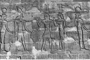 Photo »286« aus dem Edfu-Projekt.