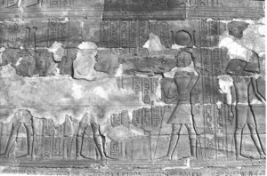 Photo »302« aus dem Edfu-Projekt.