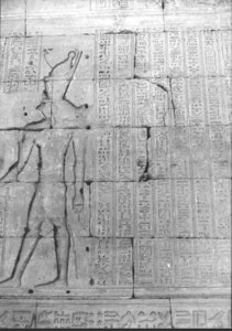Photo »821« of the Edfu-Project.