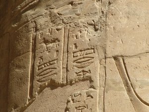 Photo »D05_5993« of the Edfu-Project.
