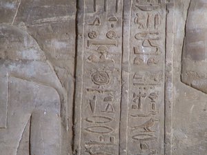 Photo »D05_6351« of the Edfu-Project.