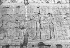 Photo »1524« aus dem Edfu-Projekt.