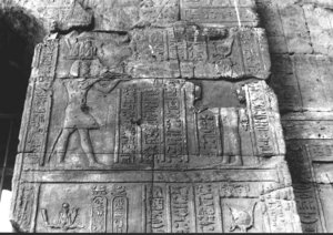 Photo »3437« aus dem Edfu-Projekt.