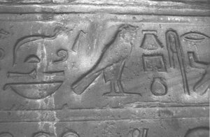 Photo »3856« aus dem Edfu-Projekt.
