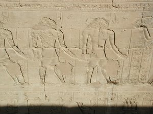 Photo »D03_0708« aus dem Edfu-Projekt.