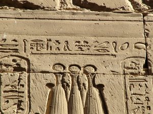 Photo »D05_0772« aus dem Edfu-Projekt.
