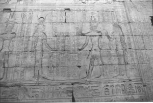 Photo »1495« aus dem Edfu-Projekt.