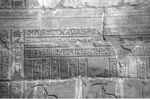 Photo »4076« aus dem Edfu-Projekt.