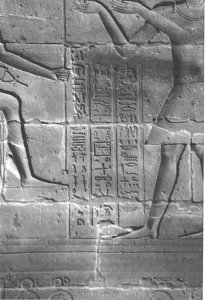 Photo »4122« aus dem Edfu-Projekt.