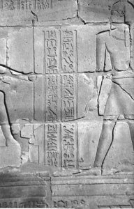 Photo »4403« aus dem Edfu-Projekt.