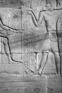 Photo »4436« aus dem Edfu-Projekt.