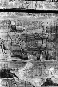 Photo »469« aus dem Edfu-Projekt.
