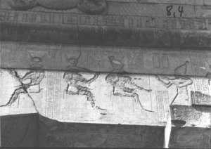 Photo »520« of the Edfu-Project.