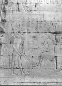 Photo »829« aus dem Edfu-Projekt.