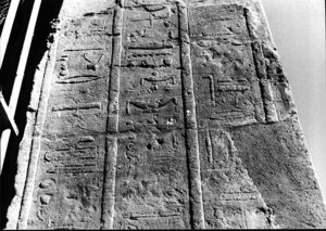 Photo »2772« aus dem Edfu-Projekt.