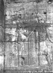 Photo »3137« of the Edfu-Project.