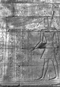 Photo »332« aus dem Edfu-Projekt.