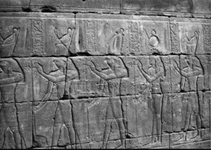 Photo »3681« of the Edfu-Project.