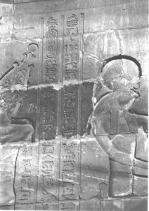 Photo »4176« aus dem Edfu-Projekt.